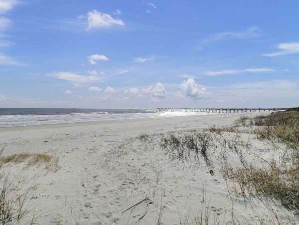 Isle Of Palms Home 1015805