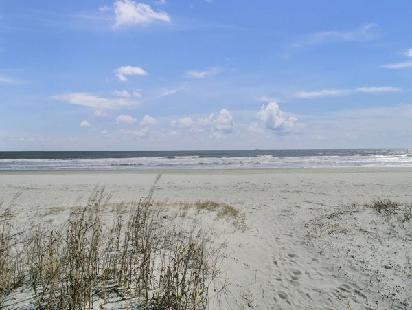 Isle Of Palms Home 1015805