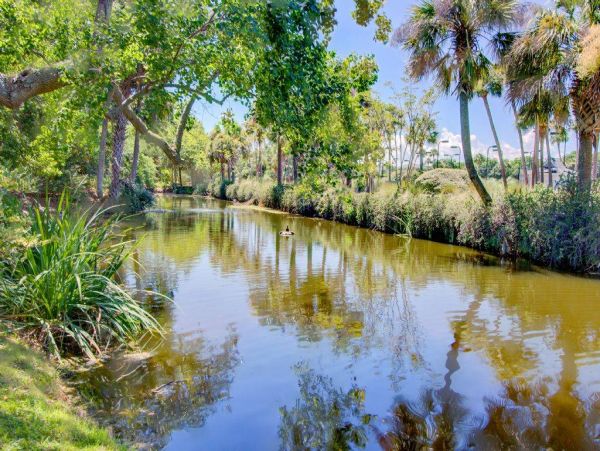Isle Of Palms Home 1015820