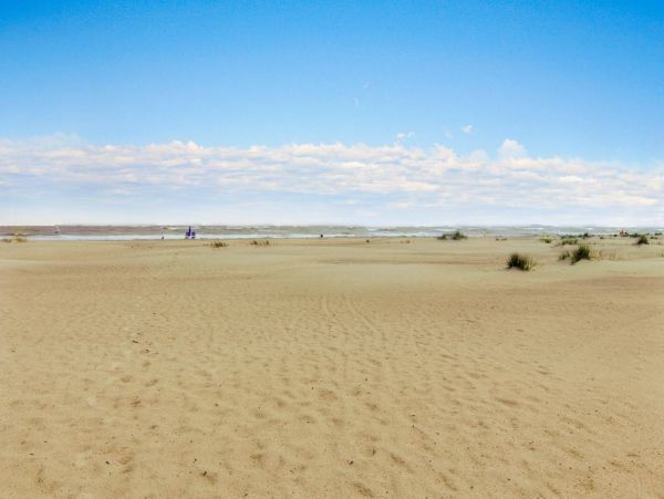 Isle Of Palms Condo 1015823