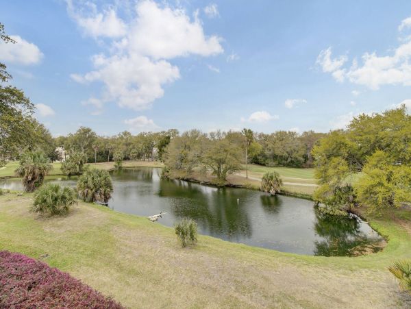 Isle Of Palms Condo 1015871