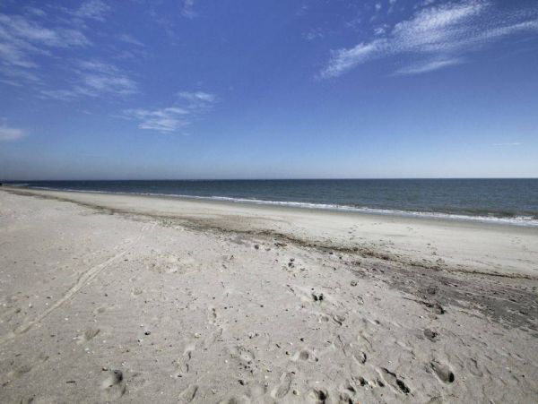 Isle of Palms Vacation Condo One Bedroom