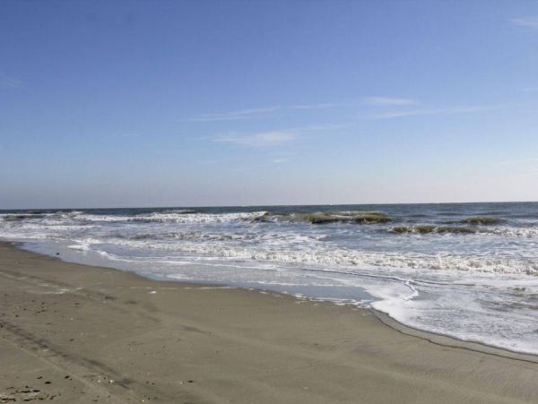 Isle Of Palms Home 1015889