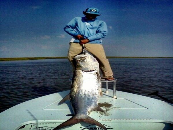 Isle Of Palms Home 1015897