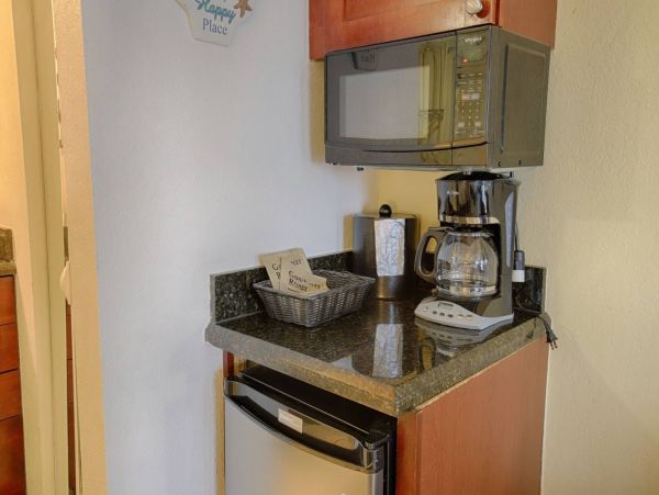 St. Petersburg Home 1015902