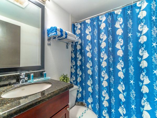 St. Petersburg Home 1015903