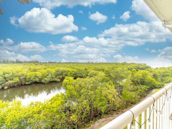 St. Petersburg Condo 1015904