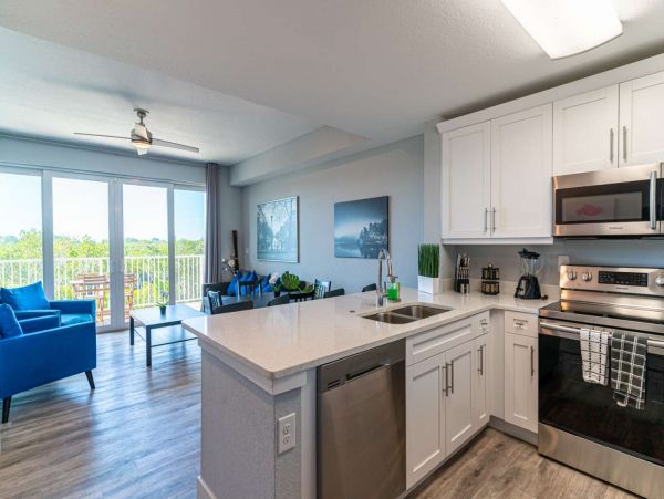 St. Petersburg Condo 1015908