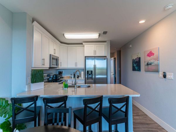 St. Petersburg Condo 1015908
