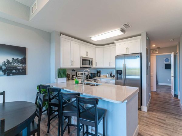 St. Petersburg Condo 1015908