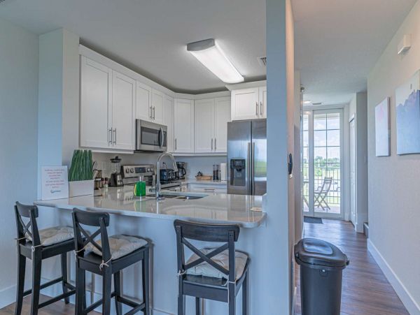 St. Petersburg Condo 1015910