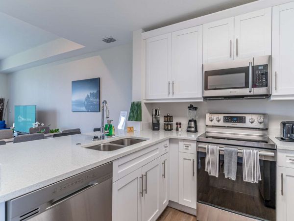 St. Petersburg Condo 1015910
