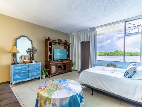 St. Petersburg Condo 1015914