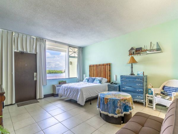 St. Petersburg Condo 1015914