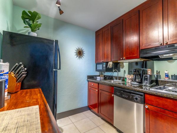 St. Petersburg Condo 1015914