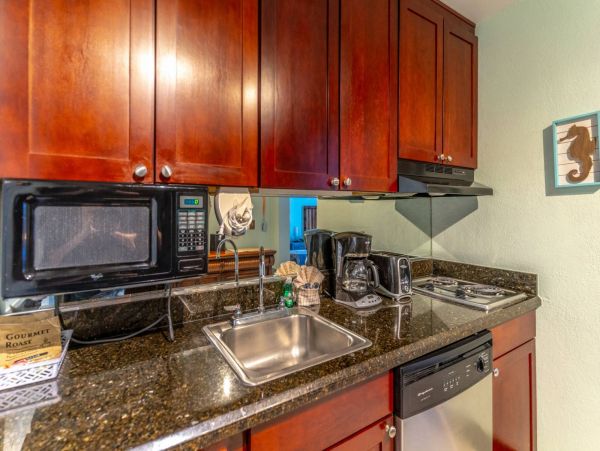 St. Petersburg Condo 1015914