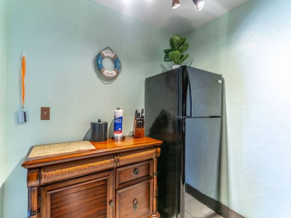 St. Petersburg Condo 1015914