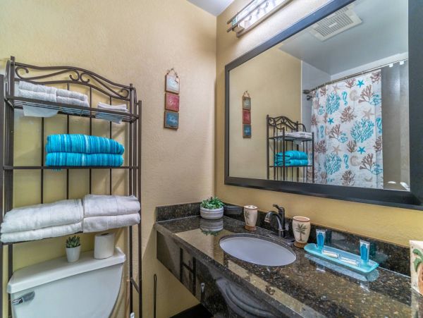 St. Petersburg Condo 1015914