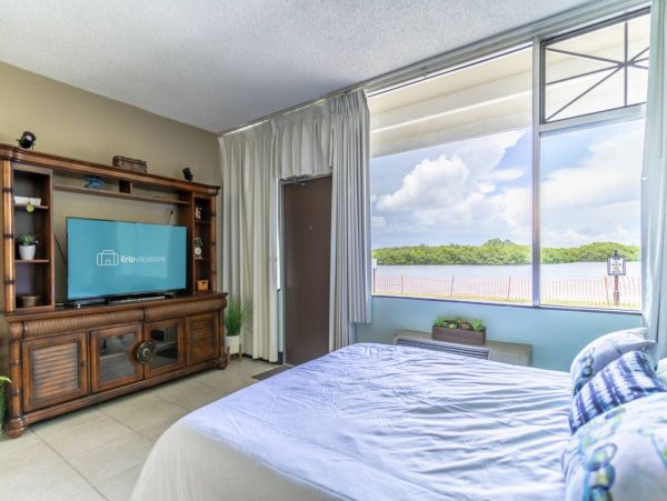 St. Petersburg Condo 1015914