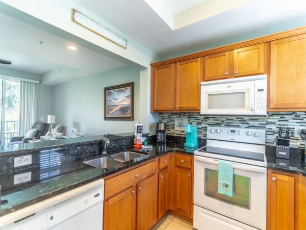 St. Petersburg Condo 1015915