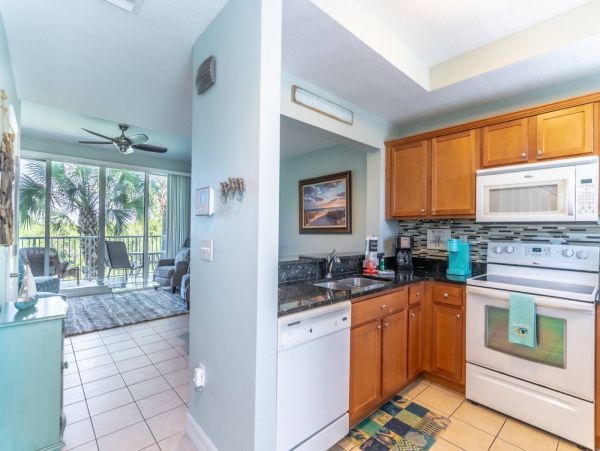 St. Petersburg Condo 1015915