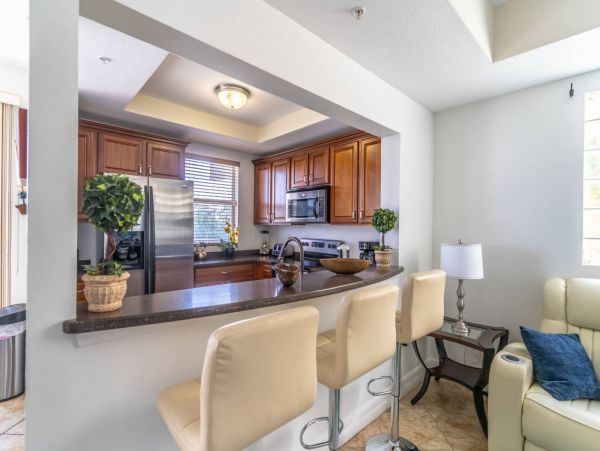 St. Petersburg Condo 1015917