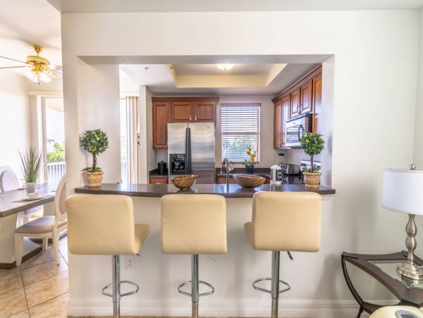 St. Petersburg Condo 1015917