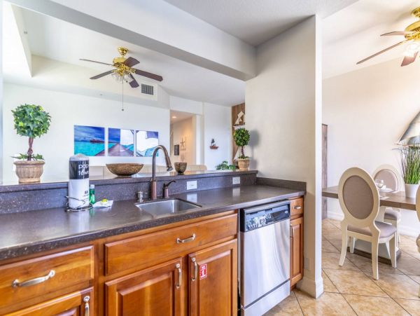 St. Petersburg Condo 1015917