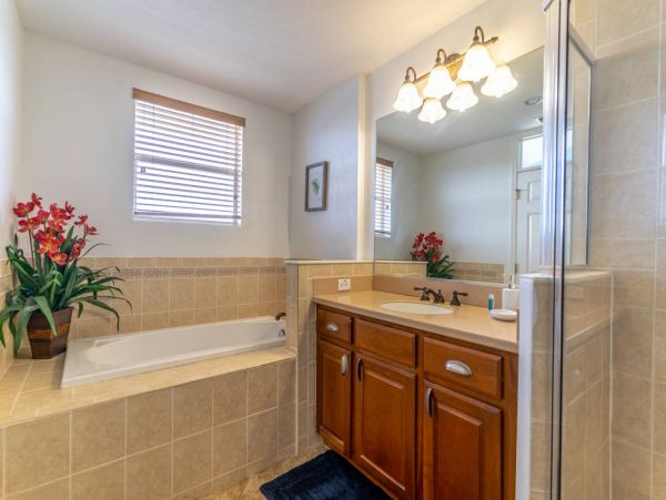 St. Petersburg Condo 1015917