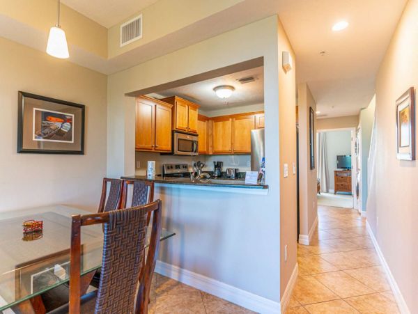 St. Petersburg Condo 1015919
