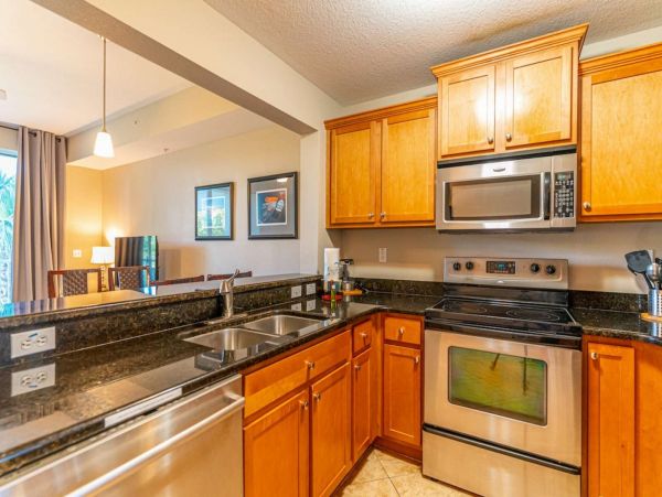 St. Petersburg Condo 1015919
