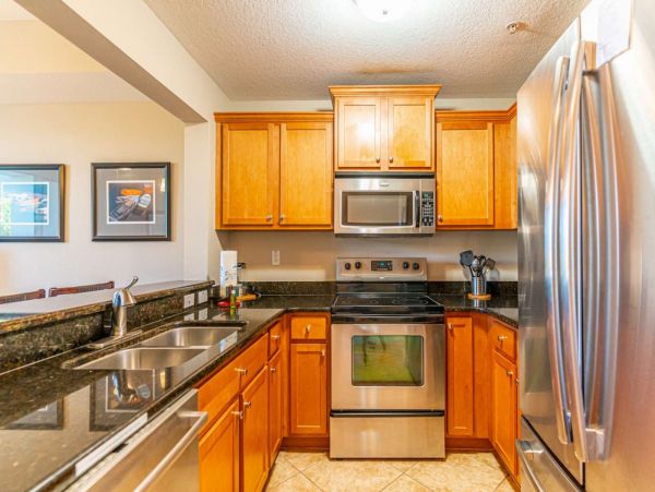 St. Petersburg Condo 1015919