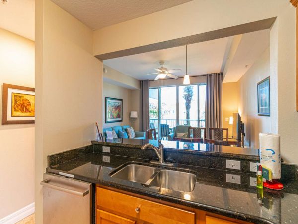 St. Petersburg Condo 1015919