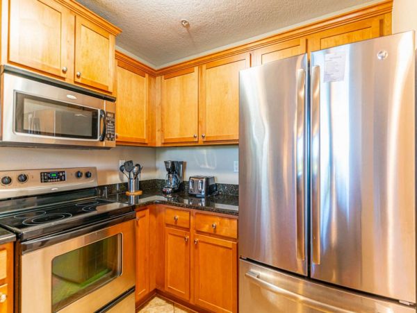 St. Petersburg Condo 1015919