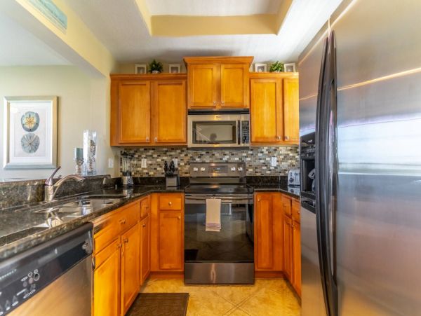 St. Petersburg Condo 1015920