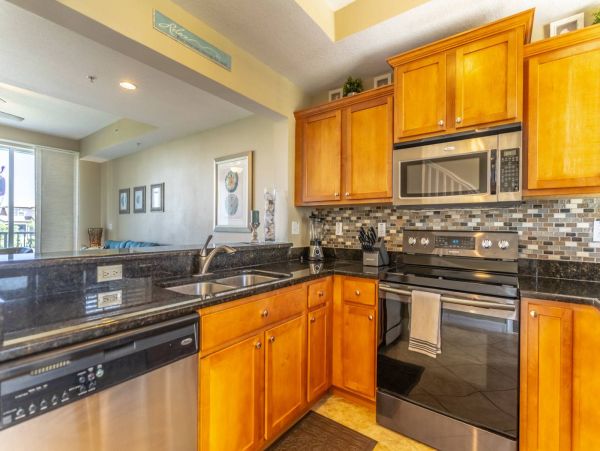 St. Petersburg Condo 1015920