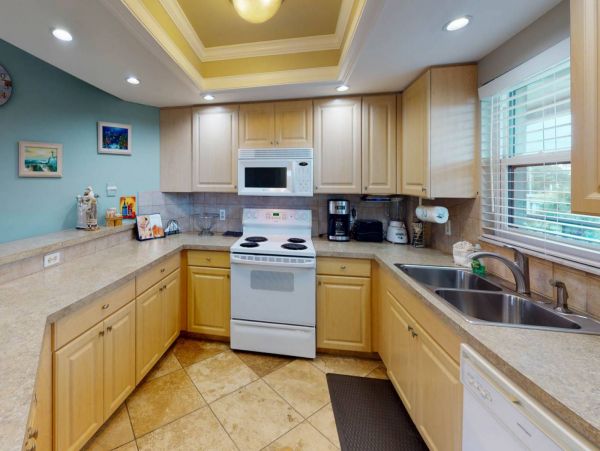 St. Petersburg Condo 1015921