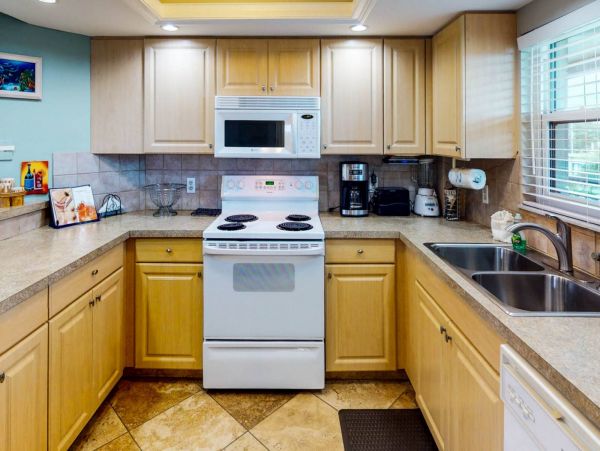 St. Petersburg Condo 1015921