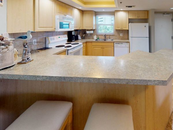 St. Petersburg Condo 1015921