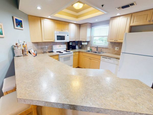 St. Petersburg Condo 1015921