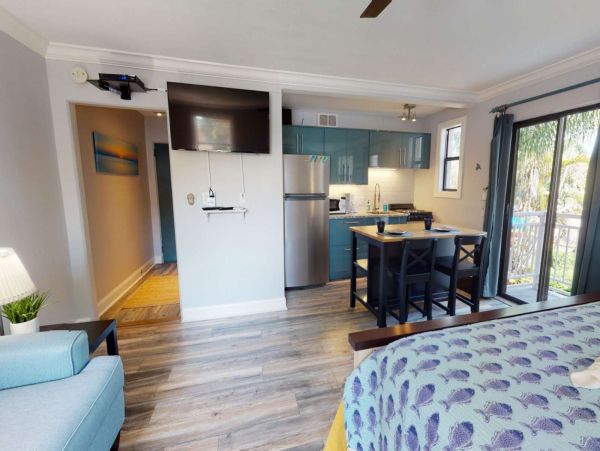 St. Petersburg Condo 1015923