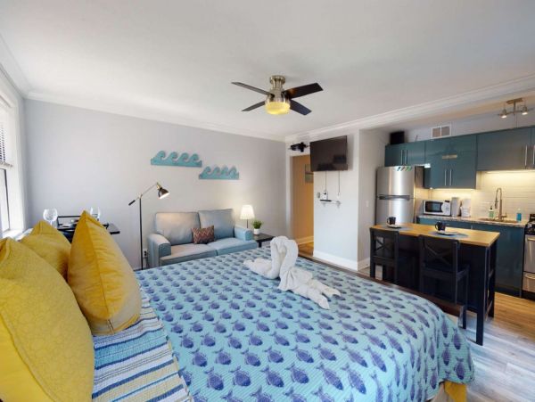 St. Petersburg Condo 1015923