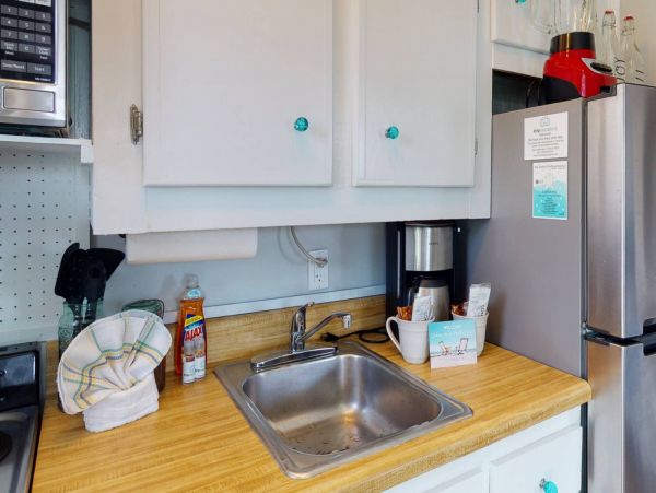 St. Petersburg Condo 1015924