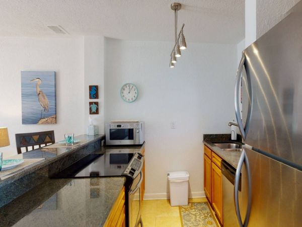 St. Petersburg Condo 1015925