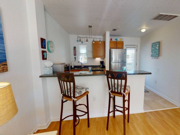 St. Petersburg Condo 1015925