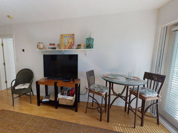 St. Petersburg Condo 1015925
