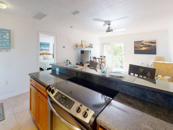 St. Petersburg Condo 1015925