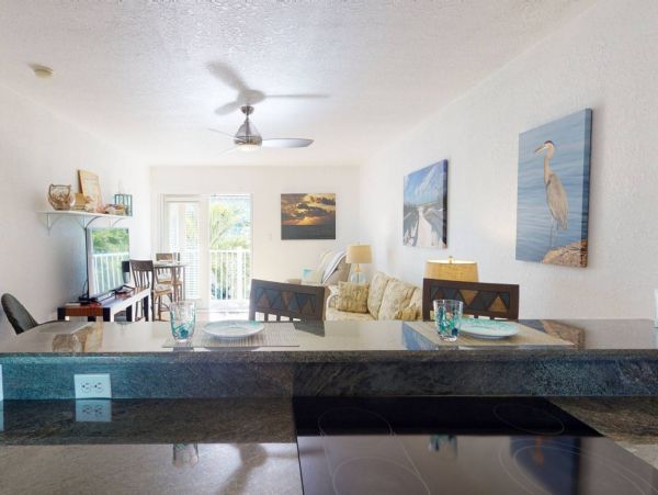St. Petersburg Condo 1015925