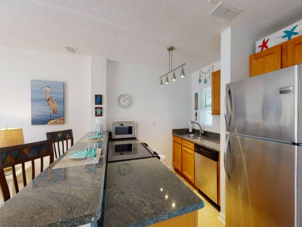 St. Petersburg Condo 1015925