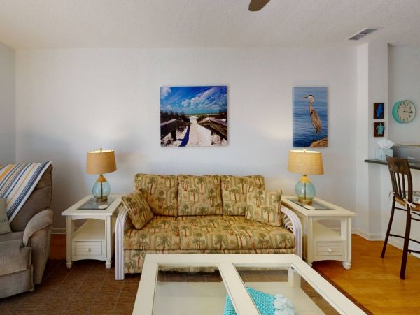 St. Petersburg Condo 1015925